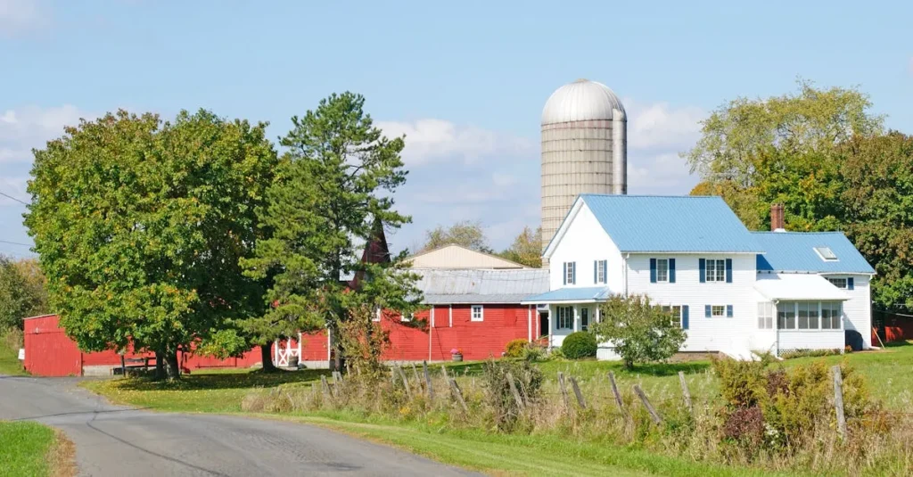 Onça-parda é registrada em sítio após desaparecimento de aves
